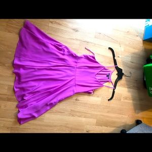 Express Fuscia Skater Dress